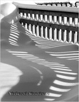 50-striped-shadows